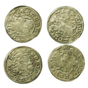 Aleksander Jagiellończyk, Set aus „Półtorak“-Münzen. Insgesamt 4 Stück (154)