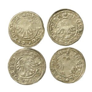 Aleksander Jagiellończyk, Set aus „Półtorak“-Münzen. Insgesamt 4 Stück (154)