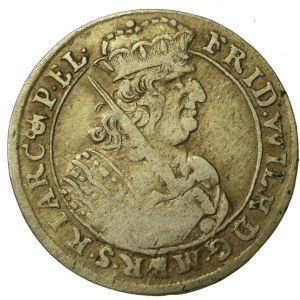 Duchy of Prussia, Frederick William I, Ort 1684 HS, Königsberg (516)