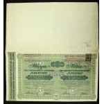 Galician Oil Society GALICJA, 200 crowns, 1910 (364)