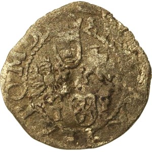 Zygmunt III Waza, szeląg Wschowa (744)