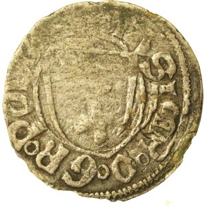 Casimir IV Jagiellon, Toruń Szeląg - rosettes (750)