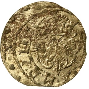 Sigismund III Vasa, Szeląg, 1618, Vilnius (766)