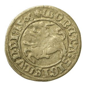 Sigismund I the Old, Half-Grosz, 1509, Vilnius (997)