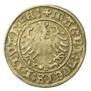 Sigismund I the Old, Half-Grosz, 1509, Vilnius (997)