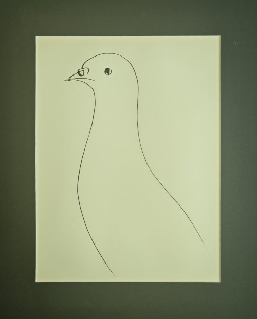Pablo Picasso (1881-1973), Gołąbek z cyklu 40 dessins de Picasso en marge du Buffon, 1957