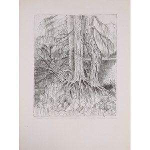 Halina MARCHEWSKA, Trees by the Pond