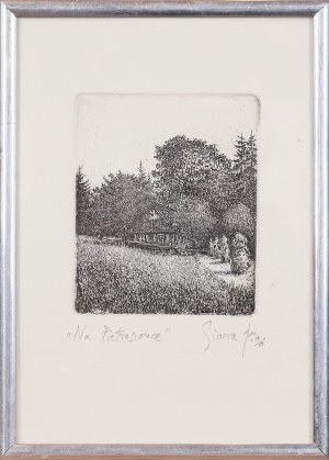 Tadeusz Michał SIARA (ur. 1941), Na Pietraszonce, 1996