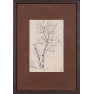Artist UNKNOWN, Trees - Engelberg