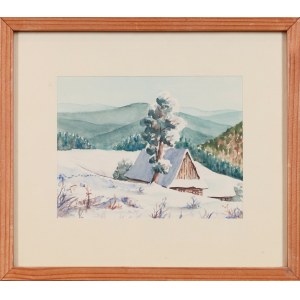 Unknown Painter (20th century), Żywiec Beskids