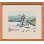 Unknown Painter (20th century), Żywiec Beskids