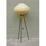 Floor Lamp - Kolor? Cooperative - 1