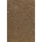 Teresa Tyszkiewicz (1953, Ciechanów – 2020, Paris, France), “Raw” (“Brut”), 2003