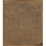 Teresa Tyszkiewicz (1953, Ciechanów – 2020, Paris, France), “Raw” (“Brut”), 2003