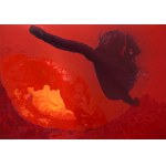 Anna Brudzińska, Przekroje ognia VIII, 2003