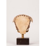 Plaster head of Medusa