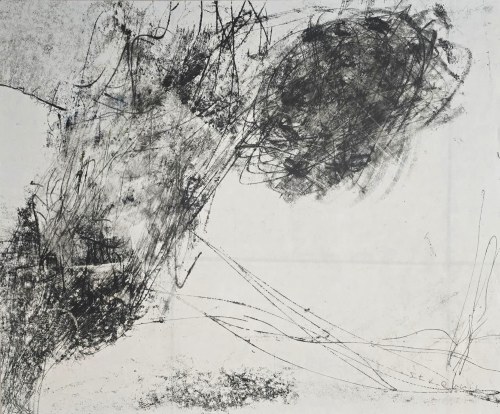 Piotr Strelnik (ur. 1956), Bez tytułu (monotypia II)