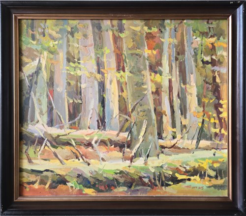 Sławomir Mieleszko (1938-2021), Stary las, 1995