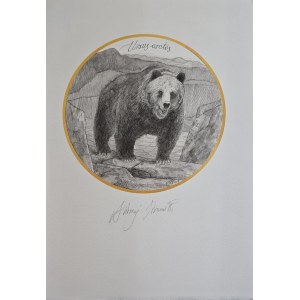 Andrzej Strumiłło (1927–2020), Brown Bear
