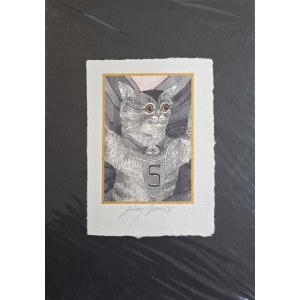 Andrzej Strumiłło (1927–2020), Superhero Cat