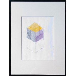 Janusz Kapusta (ur. 1951), K-dron, 2012
