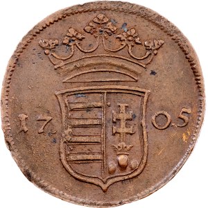 Franciszek II Rákóczi, 10 Poltura 1705 r.