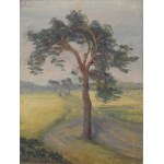 Wacław SZCZEBLEWSKI (1888–1965)?, Pine Tree, ca. 1930