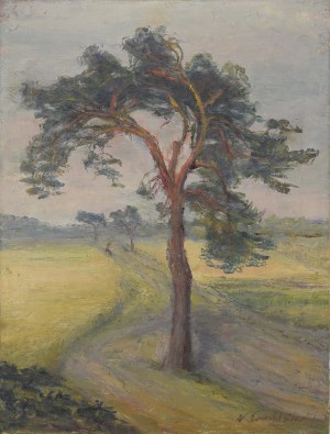 Wacław SZCZEBLEWSKI (1888-1965)?, Sosna, ok. 1930
