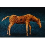 Grzegorz Klimek, The Amber Horse