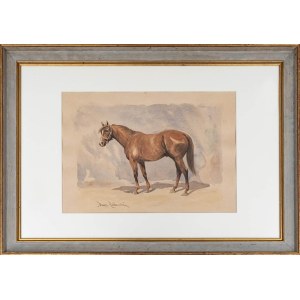 Tomasz Rutkowski, Horse