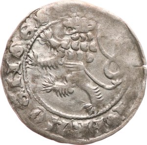 Karel IV. 1346-1378. - pražský groš 3,39 g líc jako Cha‑86 částečně nedoražené opisy, mírně napr.
