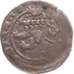 Charles IV, 1346–1378. — Prague groschen, 3.12 g, catalogued as Cha-89; incomplete inscriptions on the reverse; backing slip