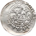 Vladislav II Jagiellon 1471–1516. — Prague groschen, 2.88 g, like Há–Xa, incomplete inscriptions, off-center.