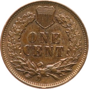 USA. - (Testa di indiano) un centesimo del 1906, KM‑90a, bordo non perforato, piccola macchia