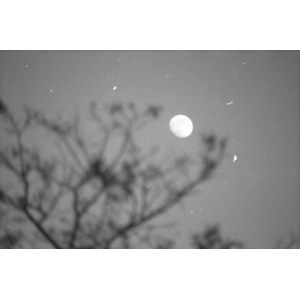 Paweł Burant | Der Mond