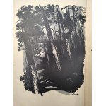Melchior Wańkowicz - On the Trail of Smętka, Warsaw 1936 [ Decorative binding, woodcuts by St. Ostoja Chrostowski ]