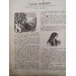 Časopis Strzecha – 5. ročník, 11 čísel, Ľvov 1872 [početné drevoryty]