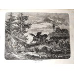 Časopis Strzecha – 5. ročník, 11 čísel, Ľvov 1872 [početné drevoryty]
