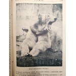 Płomyk – Ilustrovaný týždenník pre deti a mládež, 2. polrok školského roka 1927/8