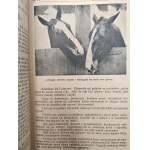 Płomyk – Ilustrovaný týždenník pre deti a mládež, 2. polrok školského roka 1927/8
