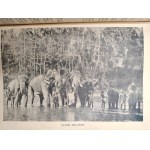 Płomyk – Ilustrovaný týždenník pre deti a mládež, 2. polrok školského roka 1927/8