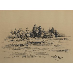 Wiktor Zin (1925, Hrubieszów – 2007, Rzeszów), Landscape