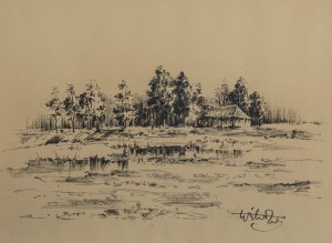 Wiktor Zin (1925 Hrubieszów - 2007 Rzeszów), Pejzaż