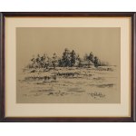 Wiktor Zin (1925, Hrubieszów – 2007, Rzeszów), Landscape