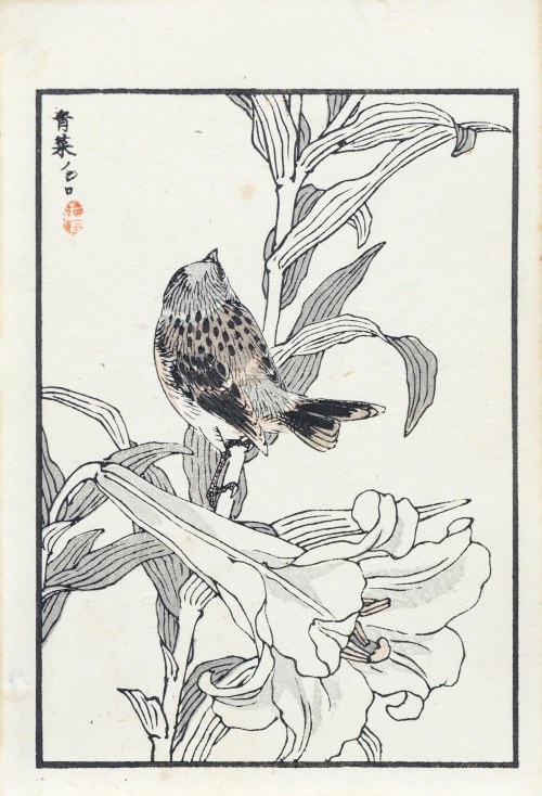 Kōno Bairei (1844-1895), Trznadel, wyd. Ōkura Magobei, Tokio/Japonia, 1881 r.