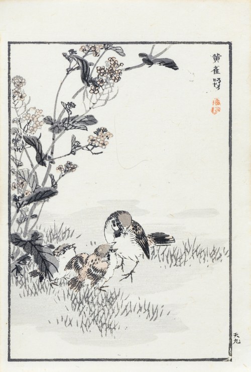 Kōno Bairei (1844-1895), Wróble, wyd. Ōkura Magobei, Tokio/Japonia, 1881 r.