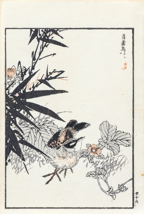 Kōno Bairei (1844-1895), Sójkowiec chiński i dzika róża, wyd. Ōkura Magobei, Tokio/Japonia, 1881 r.