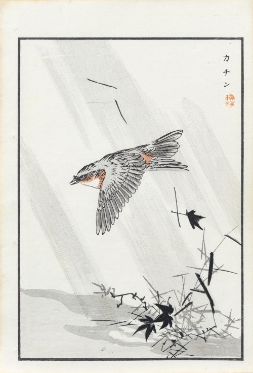 Kōno Bairei (1844-1895), Jaskółka w strugach deszczu, wyd. Ōkura Magobei, Tokio/Japonia, 1881 r.