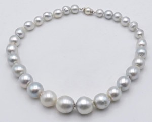 Jewellery - Filo di perle coltivate South Sea scaramazze da mm...