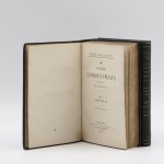 Ludovic de Beauvoir, A Voyage Around the World. Vol. I–II. [1872]